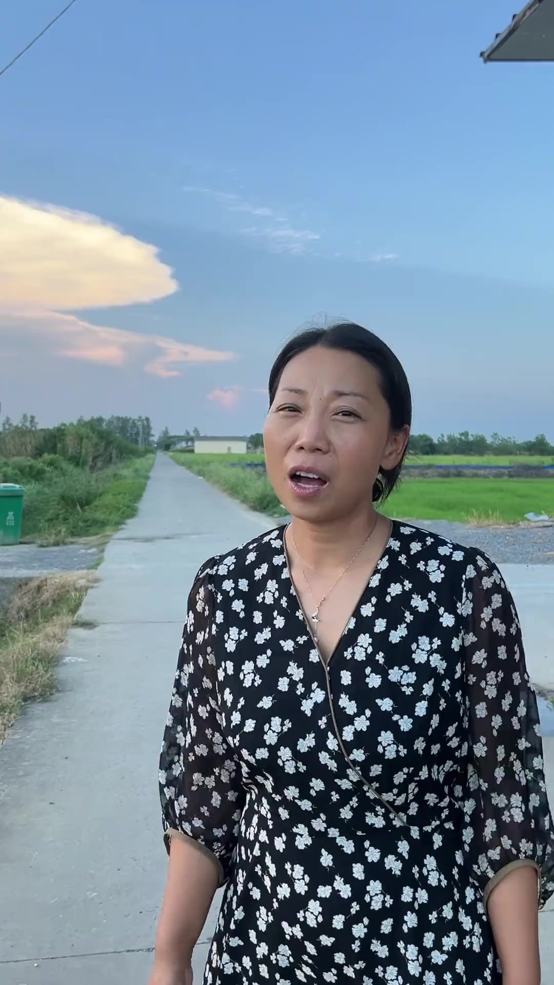 每天下午的快乐,就是给甲鱼喂食