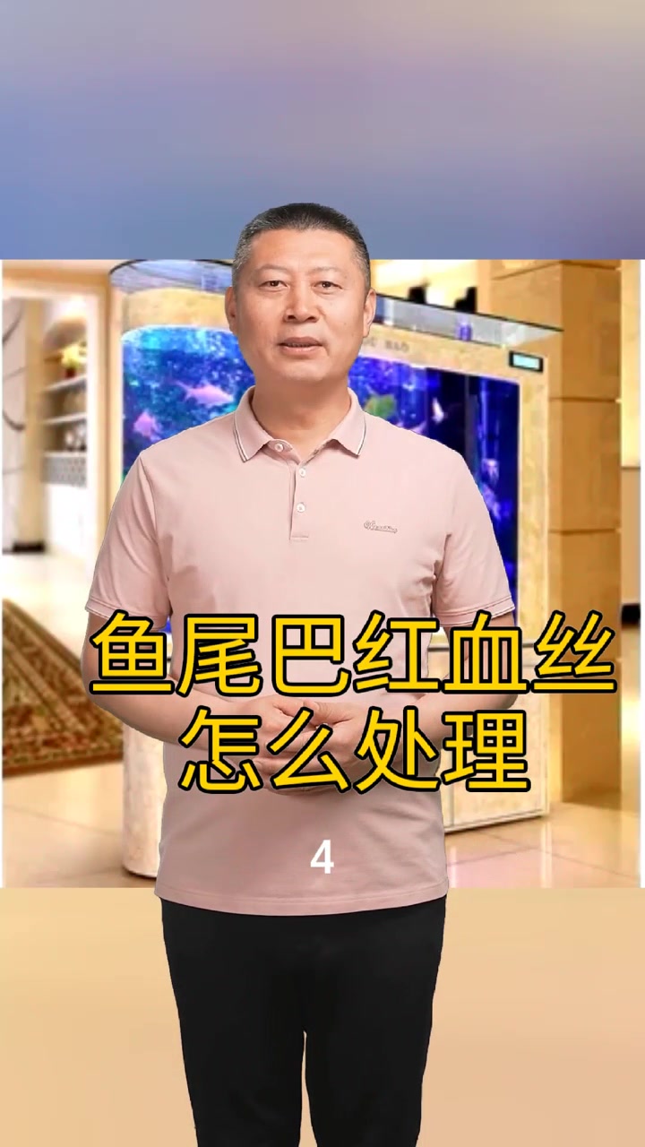 鱼尾巴红血丝怎么处理