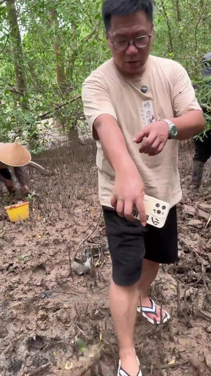 泥虫咸汤丸 台山|台山汶村有两个特产美食