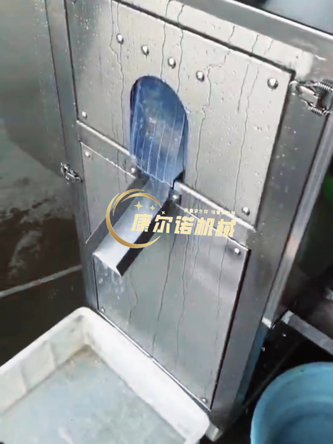 不伤皮肉的石斑鱼去鳞机 罗非鱼去鳞片机器 白鲢脱鳞机视频