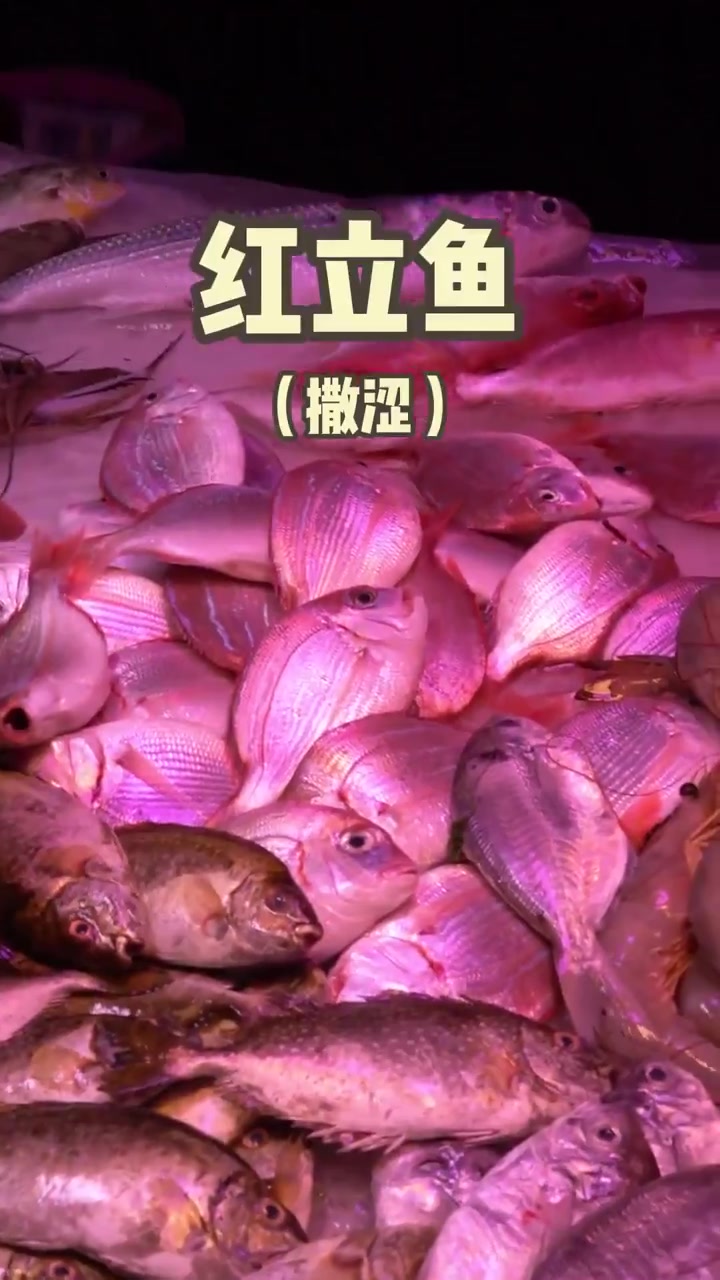 海鱼你认识多少种!?