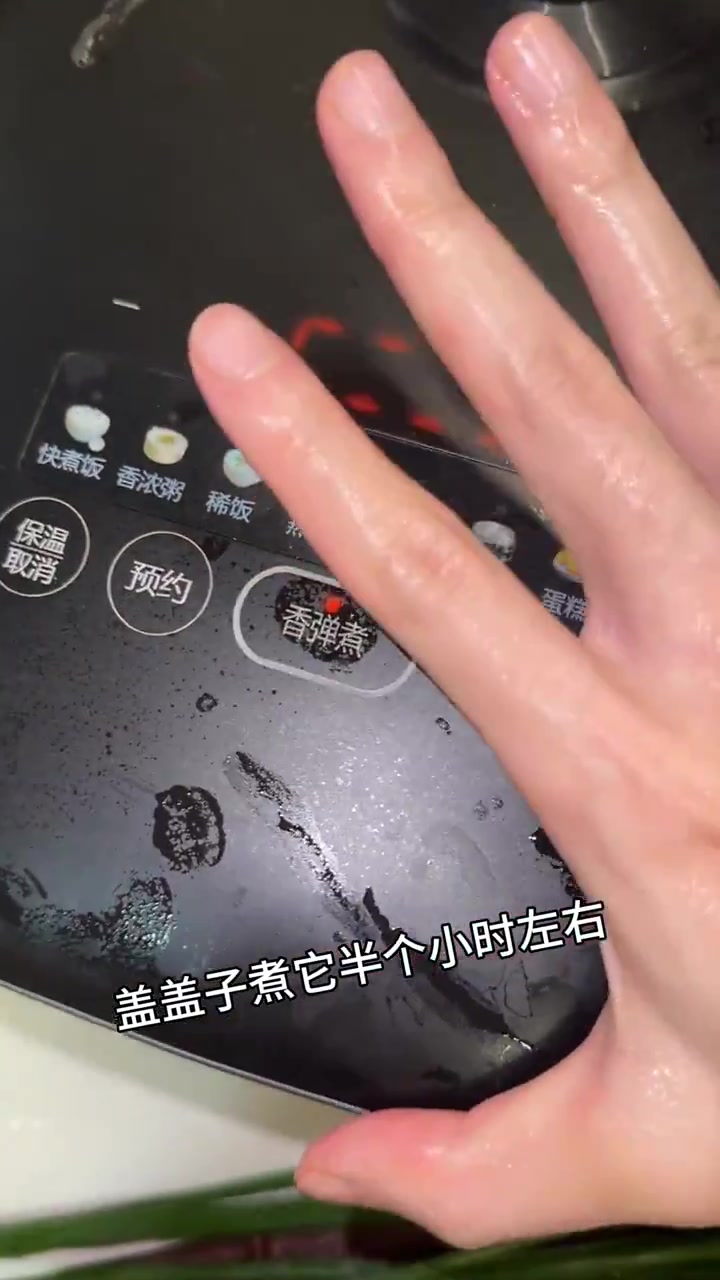 今天是硬控广东人的盐焗鸡和西洋菜陈肾汤
