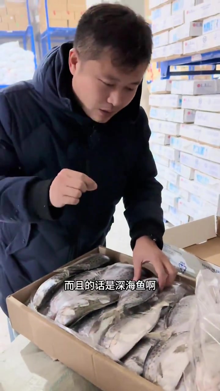 南极雪花鲳到货了