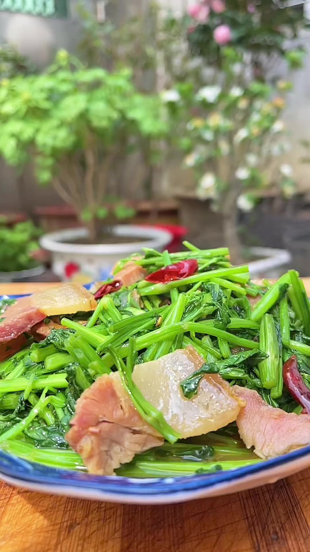 大别山野芹菜,您吃过吗?