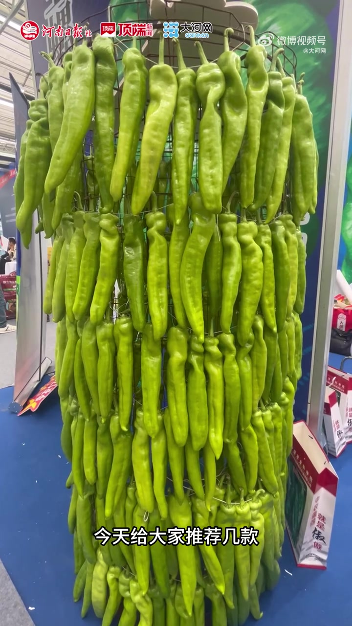 「6000多个新优品种!一起打卡这场开在田埂上的蔬菜博览会」比小手臂还长的辣椒你吃过吗?南