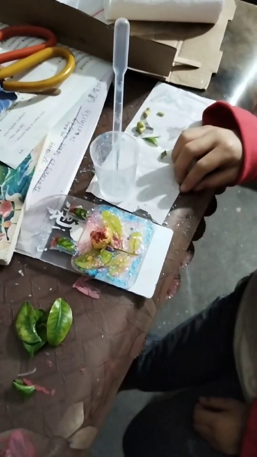 制作植物草木标本