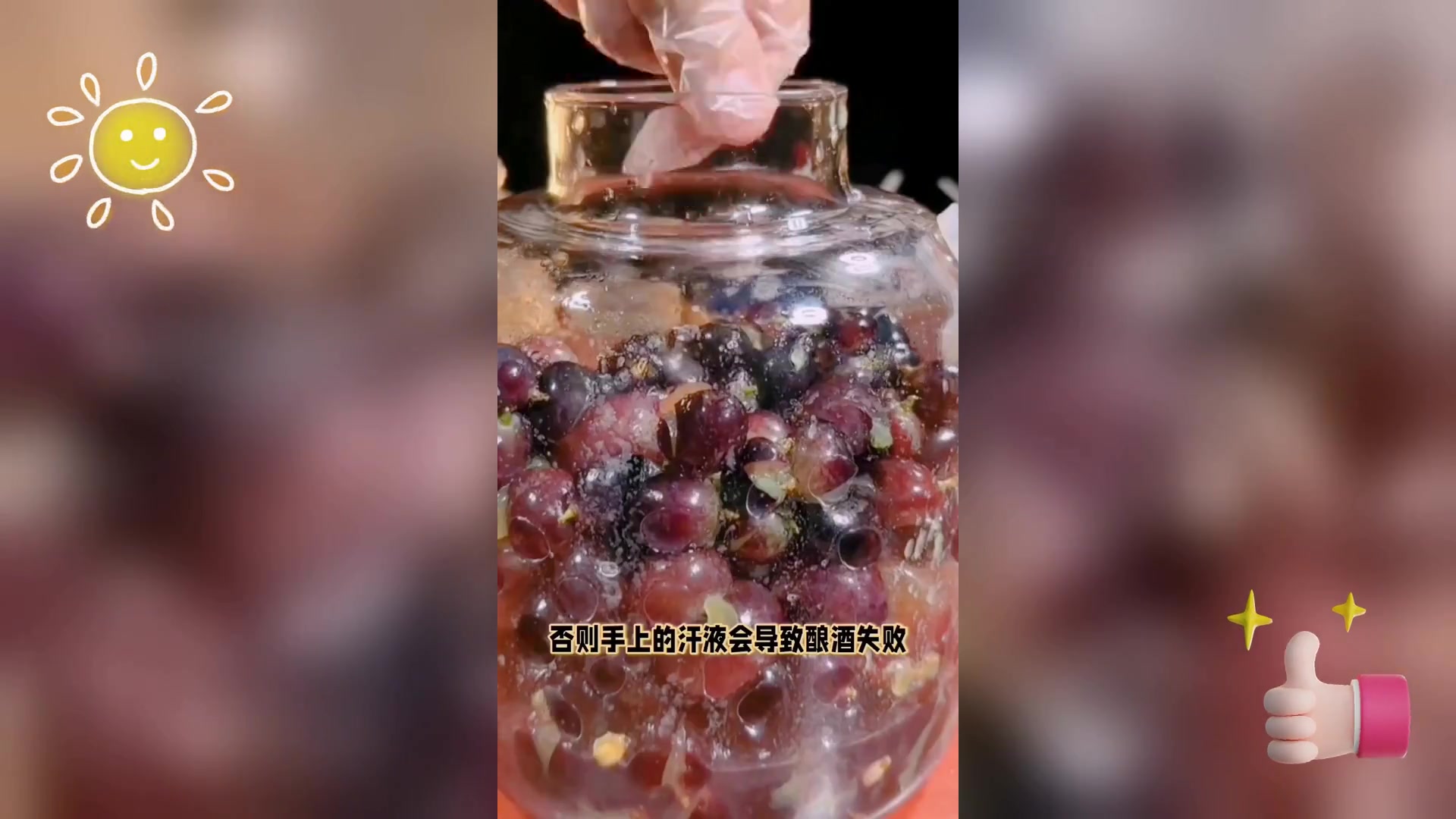 家庭自制红酒,简易教程