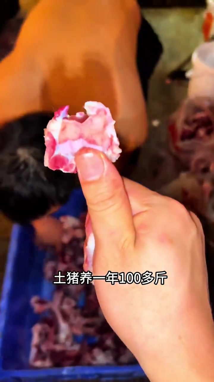 猪王教你快速识别猪肉!