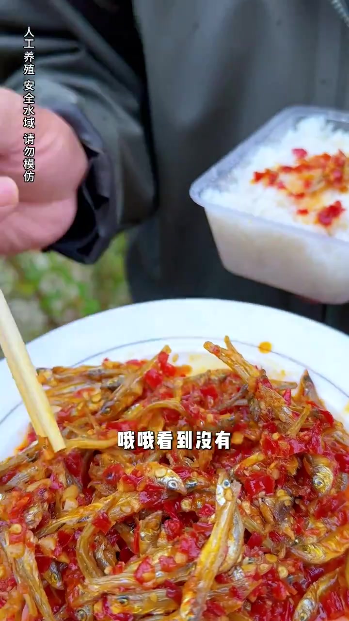 爆网了!无泥无沙,不苦不腥的香辣柴火鱼