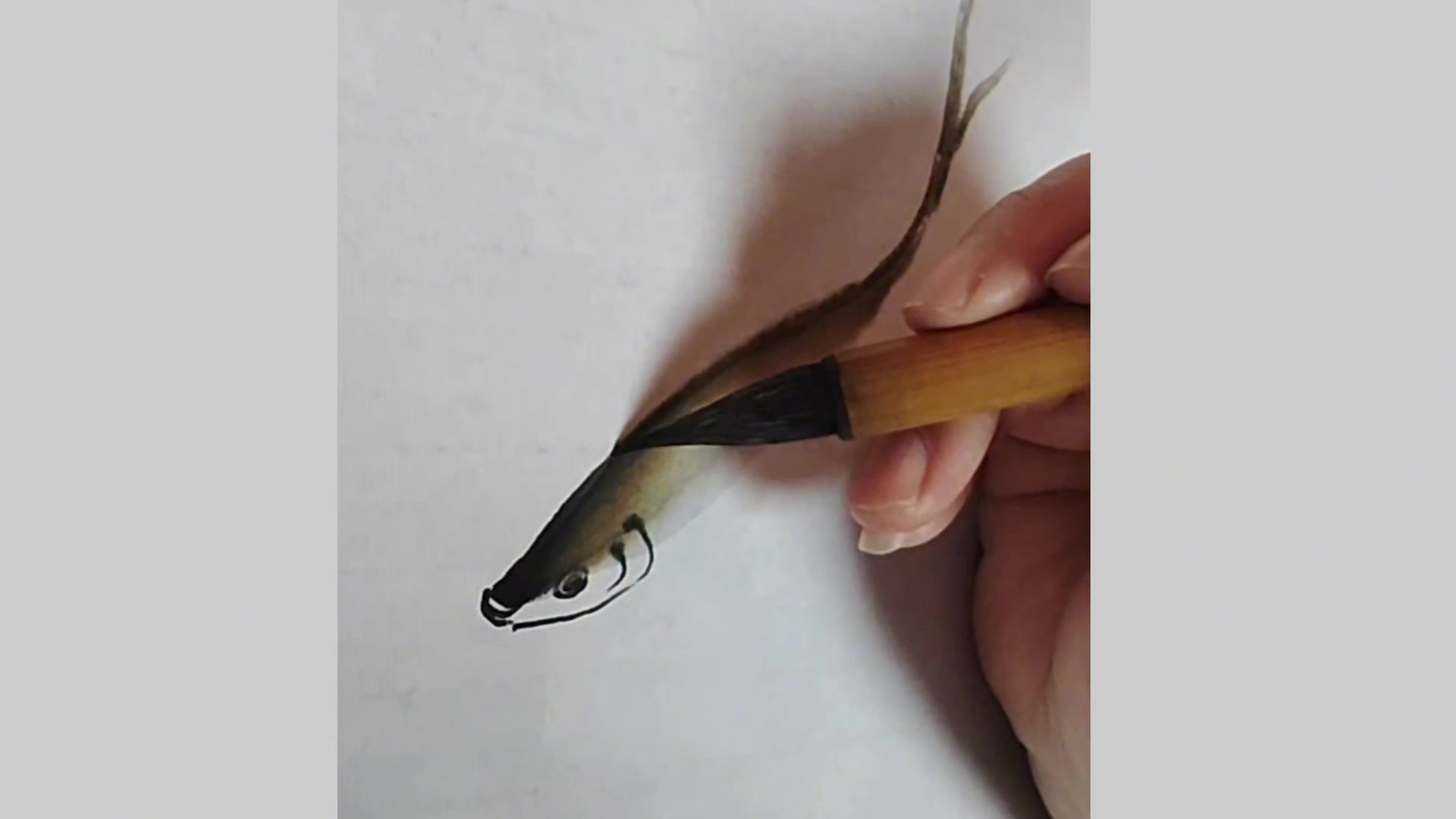水墨小鱼绘画教程