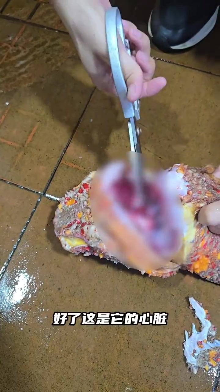用一把剪刀处理石头鱼