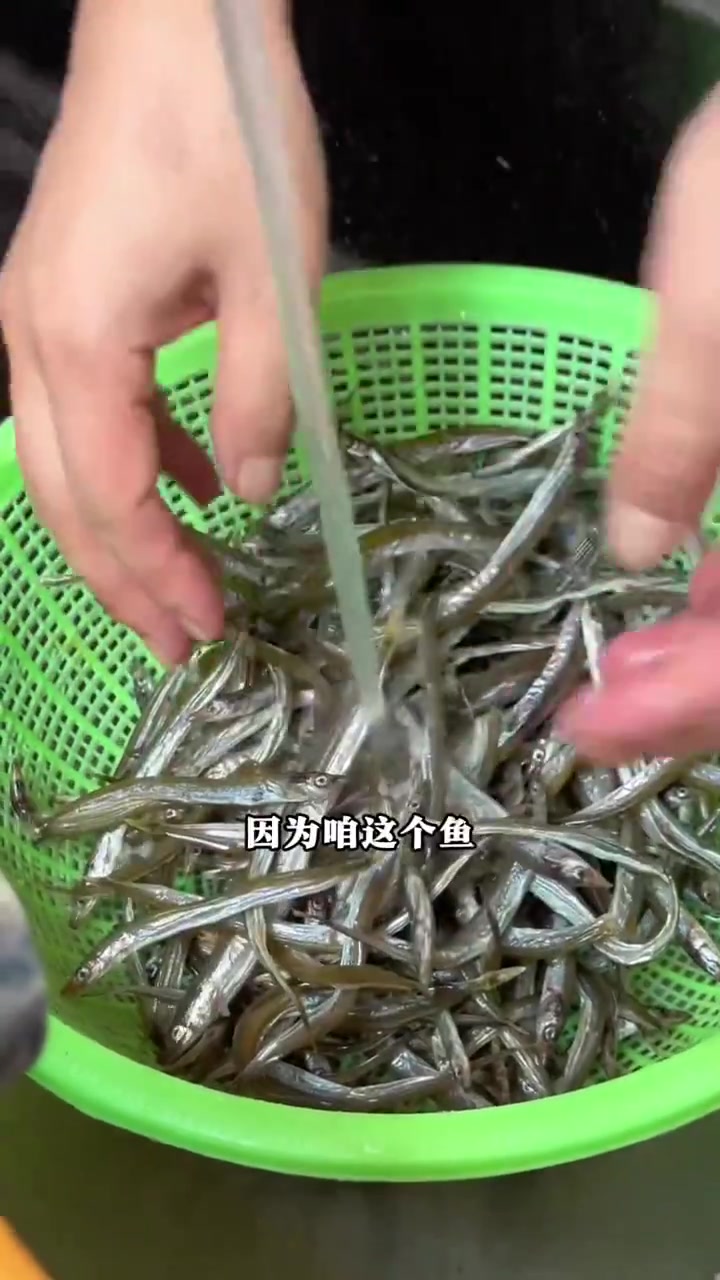 清蒸面条鱼 今天红姐就面条鱼的吃法