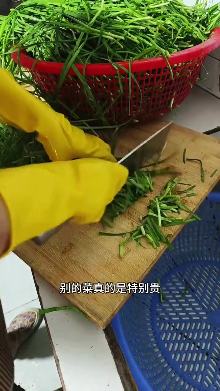 《烧青条鱼、酸辣土豆丝、韭菜炒千张、冬瓜海带汤》
