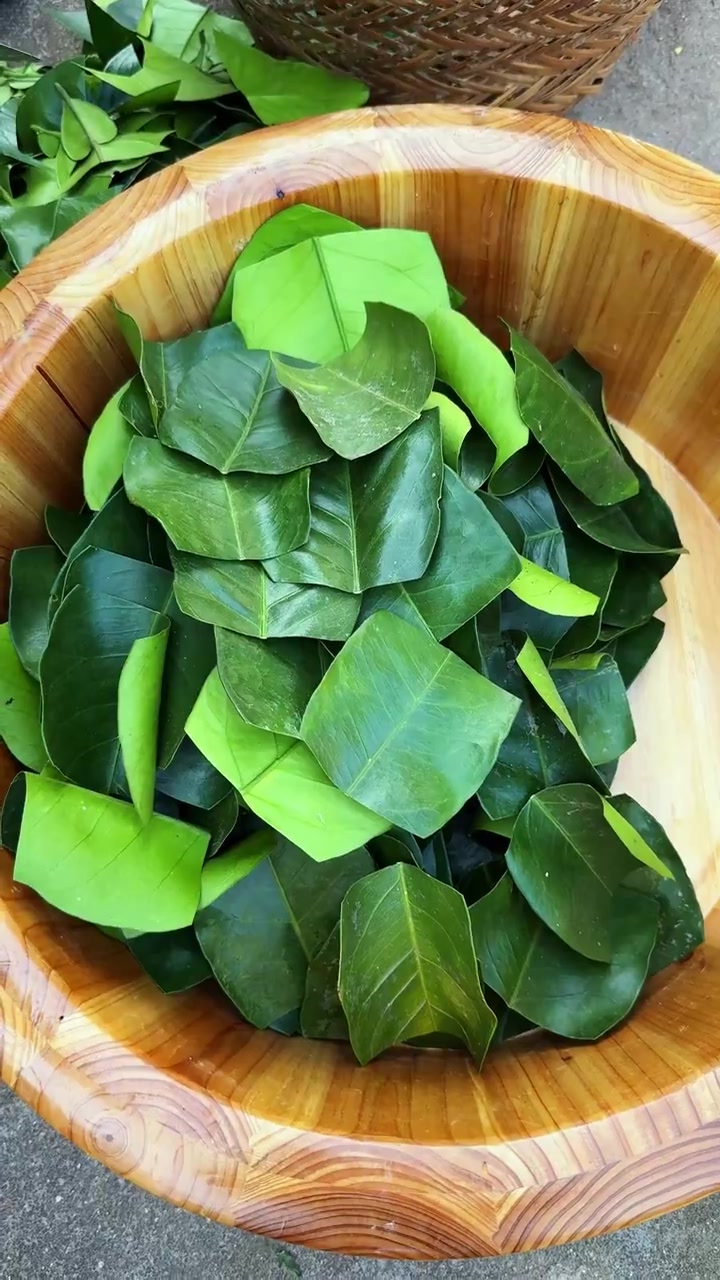 重阳节我们这有做蒿菜糍粑的习俗,蒿菜糍粑绵软口感