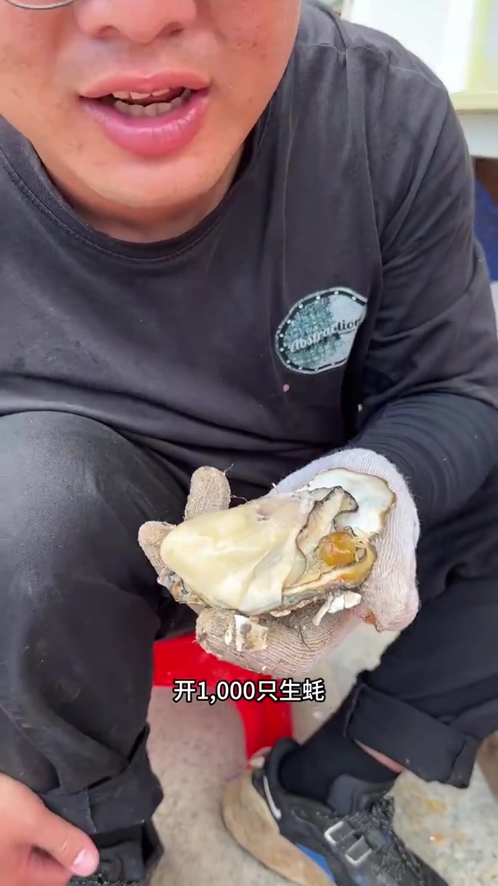 开出来的蚝里蟹算起来价格比黄油蟹还高