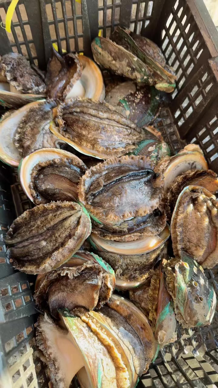 三个头的鲍鱼,很不错