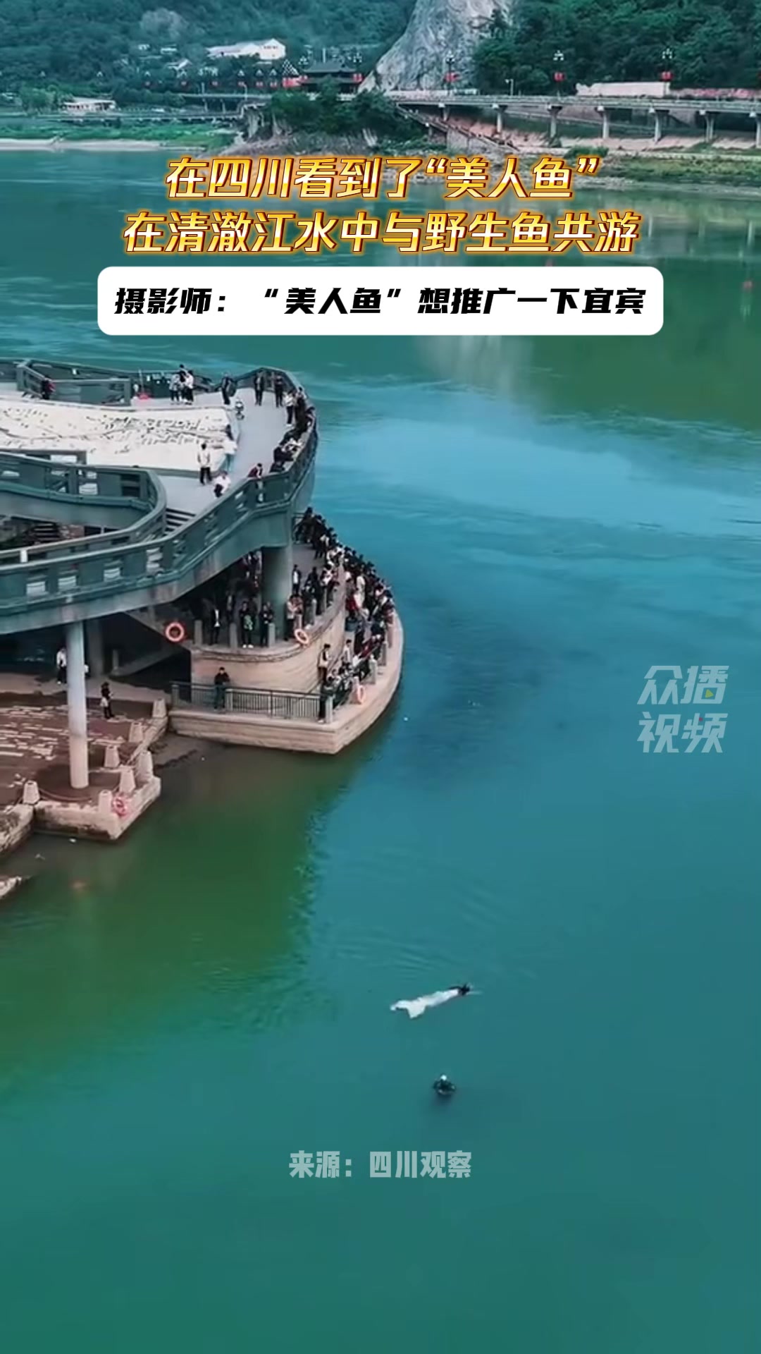 起猛了!在四川看到了“美人鱼”,在清澈江水中与野生鱼共游