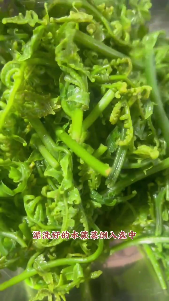 蕨菜的又一种吃法……炝水蕨菜