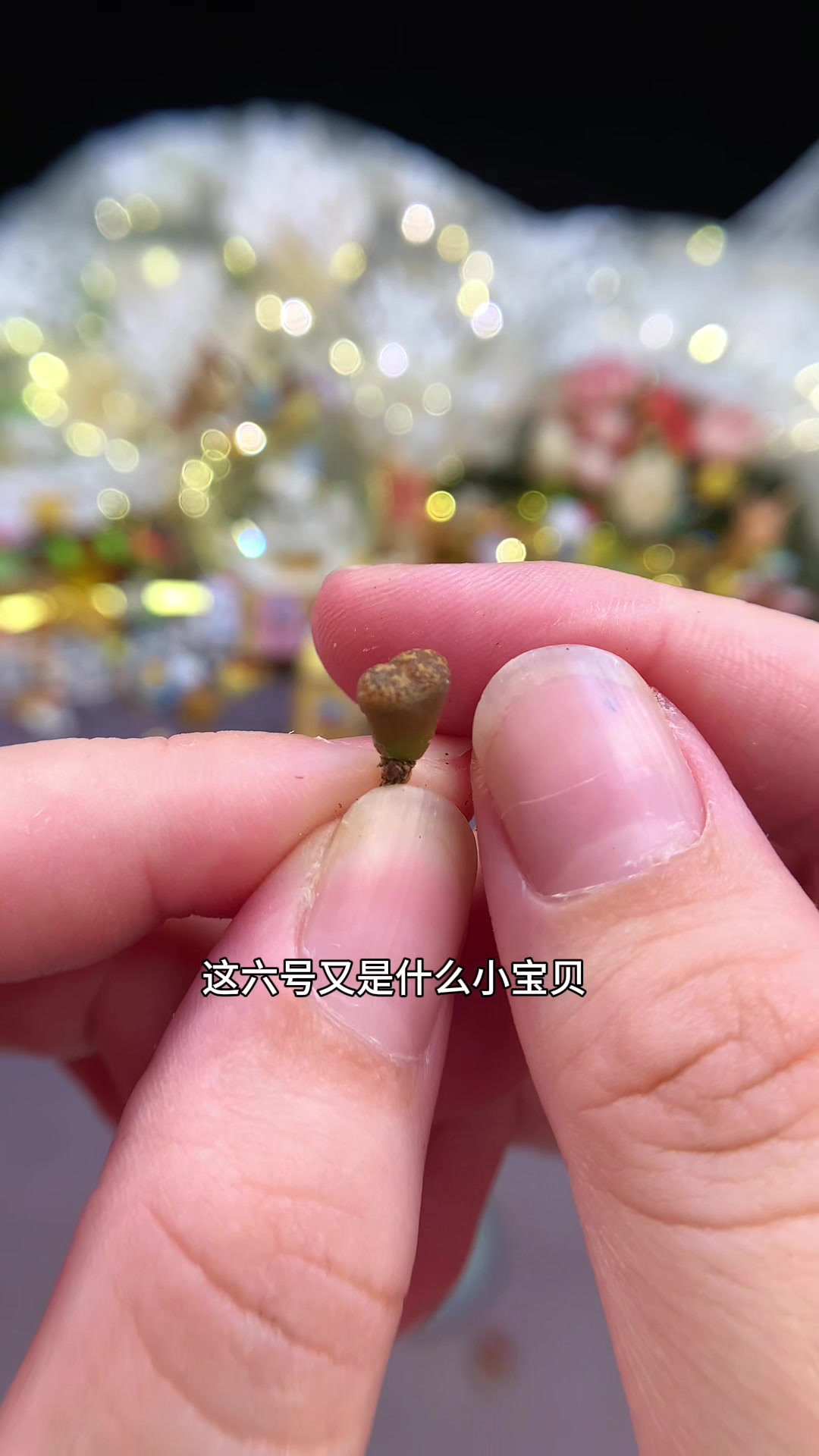 来一碟肉锥小菜吧