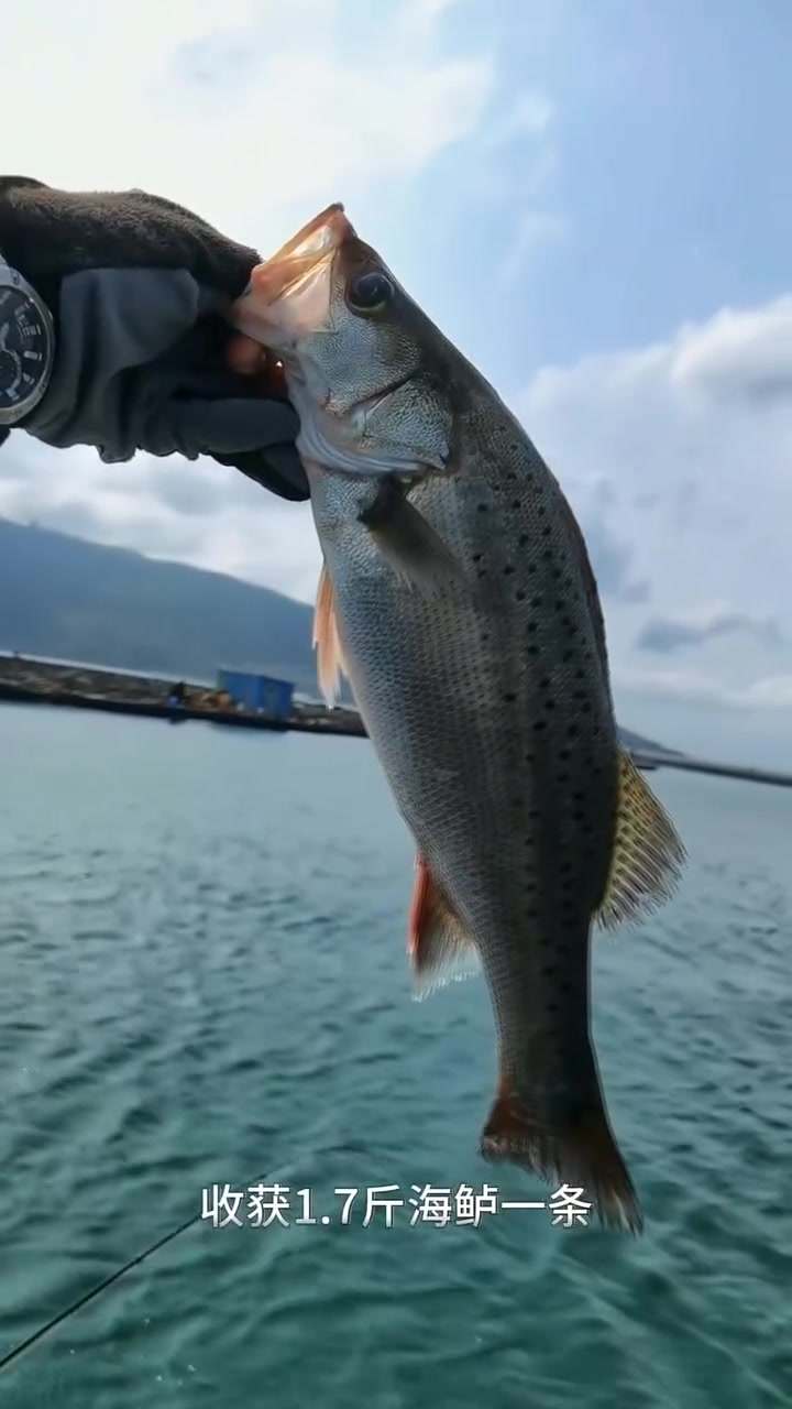 长城炮