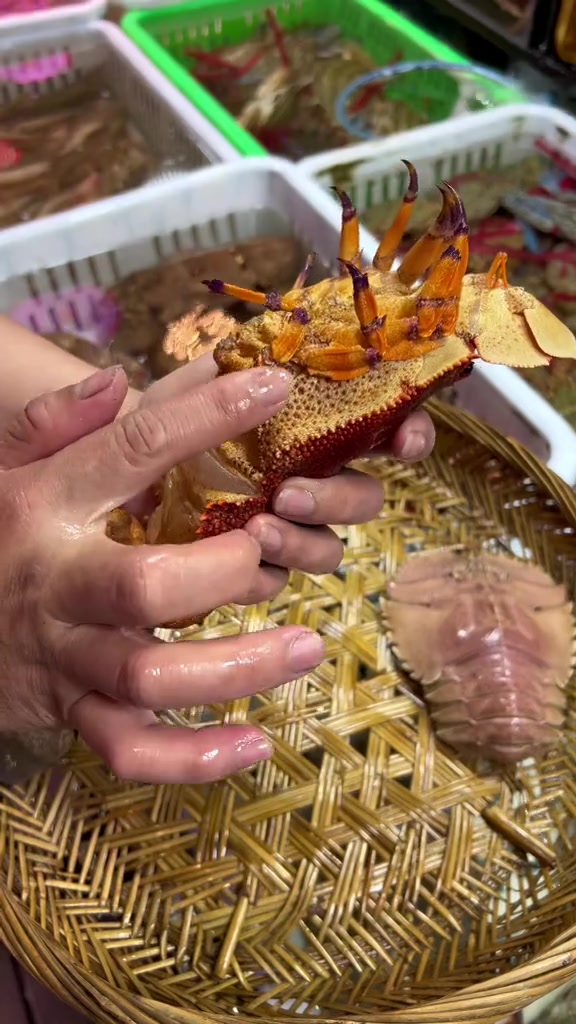 琵琶虾(虾婆)(战甲)