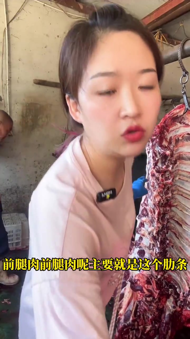 四分体牛肉的分割部位