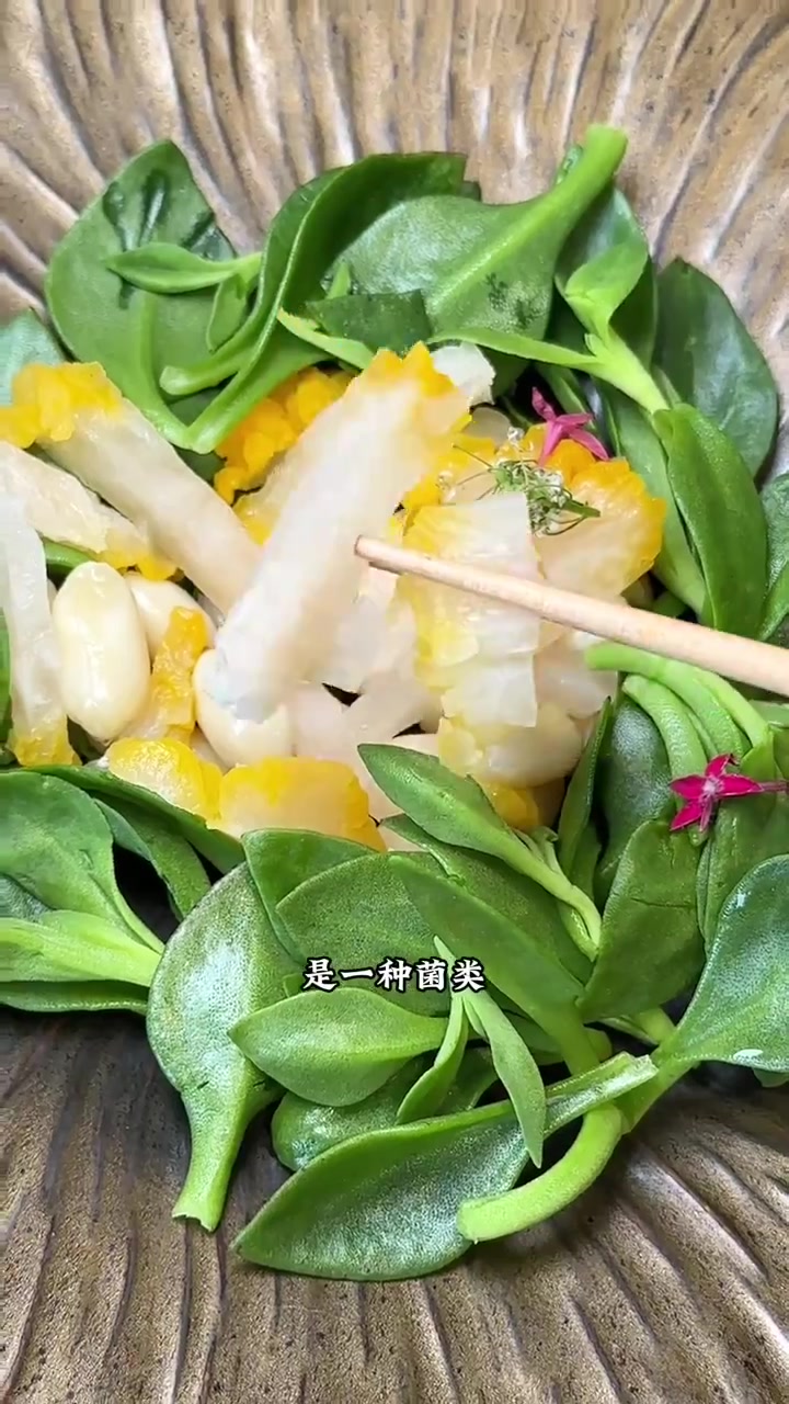 以24节气准备的菜单每一节气都会换菜品的素食餐厅你体验了吗?