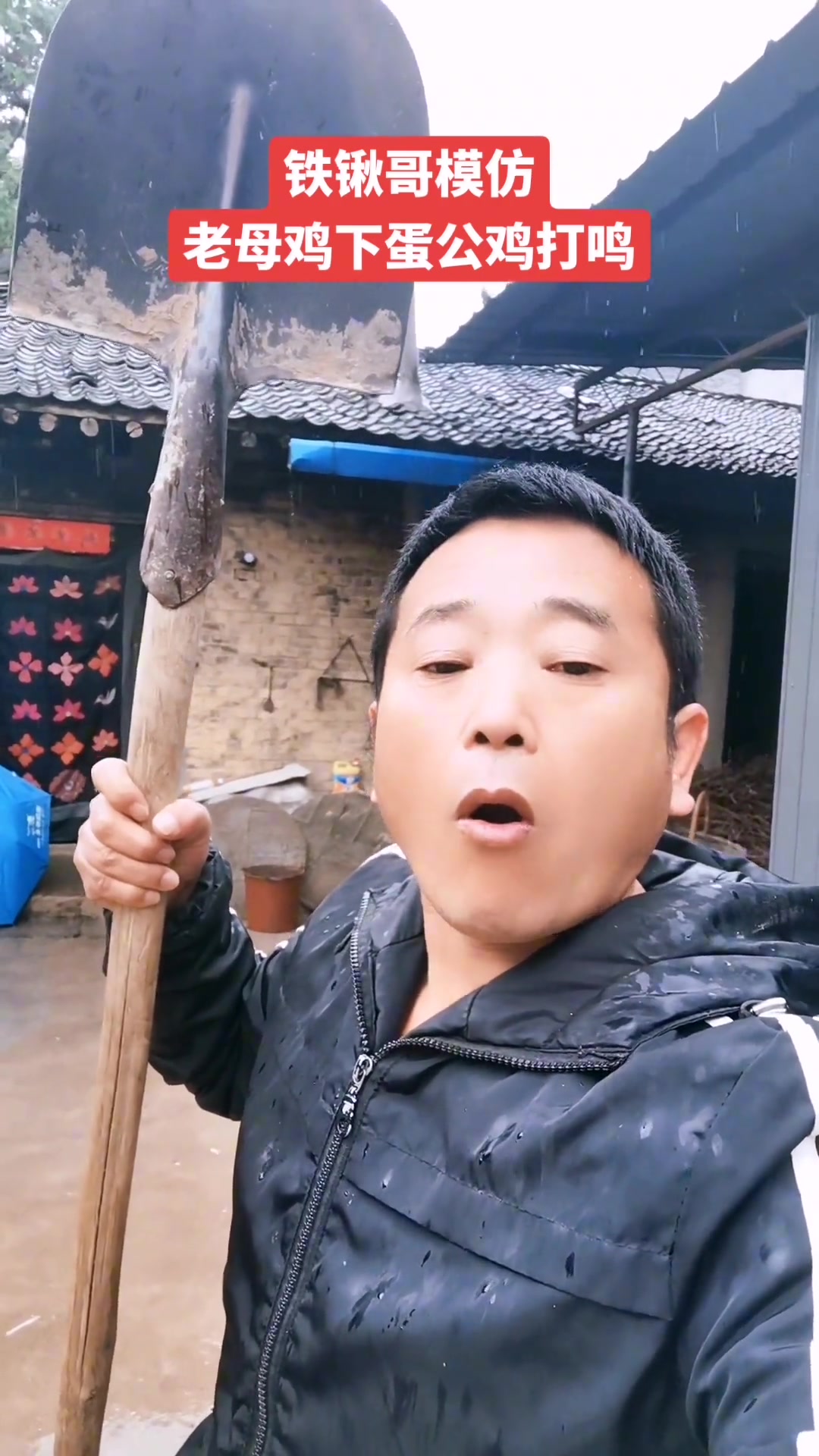 一个农村人,风雨中来一个母鸡公鸡的叫声,只希望所有的粉丝和网友开心就好