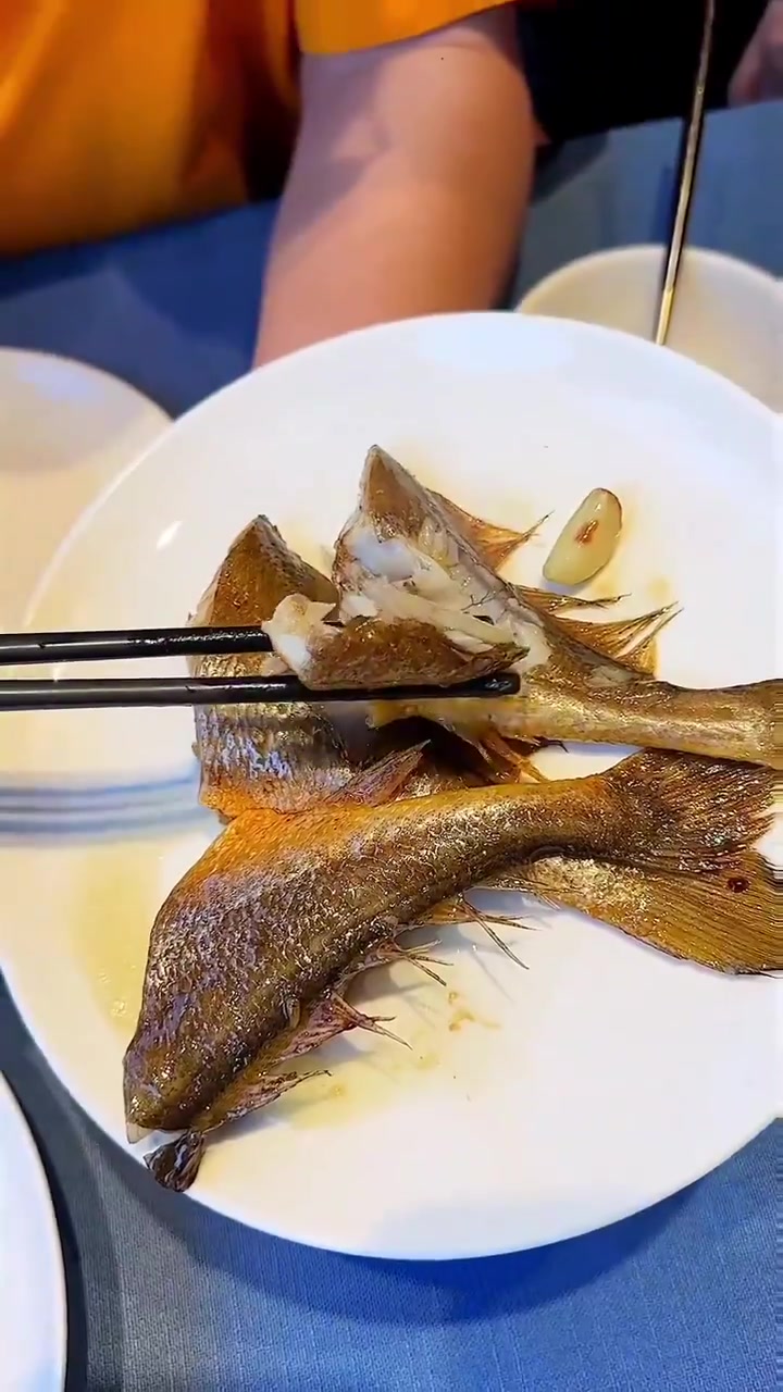巅峰大LOGO探店,各种鱼的顶级吃法盘点