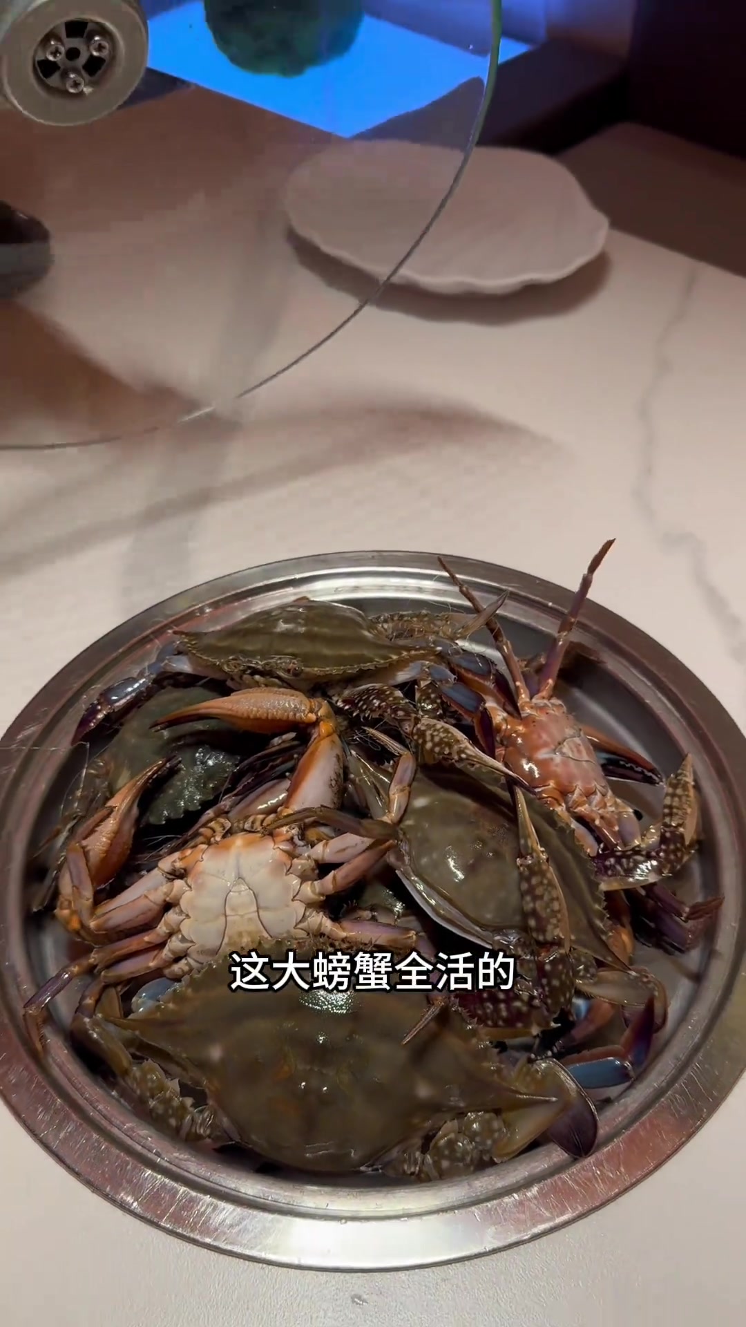 葛建宇天天想你鸭脖