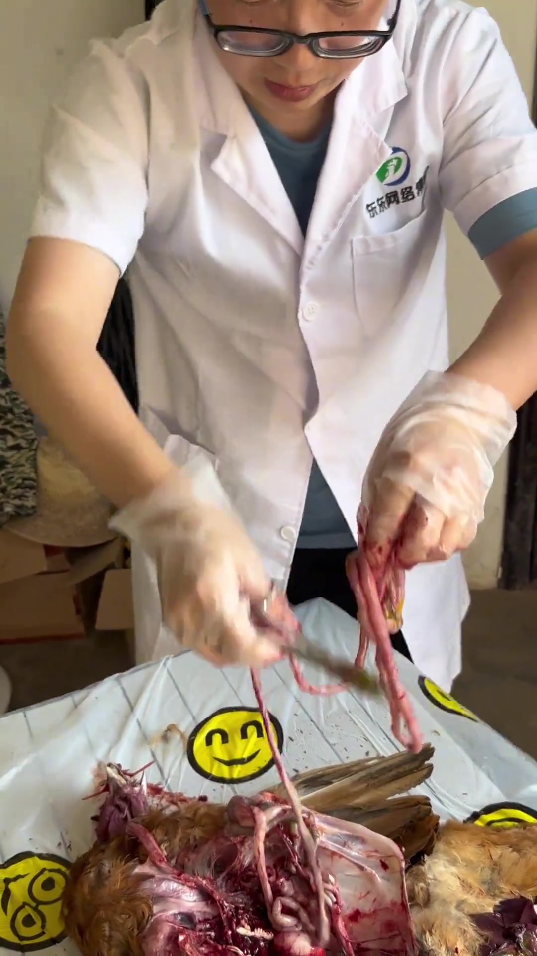 下乡出诊遇到的一例秋冬季养鸡的高发情况,损失大