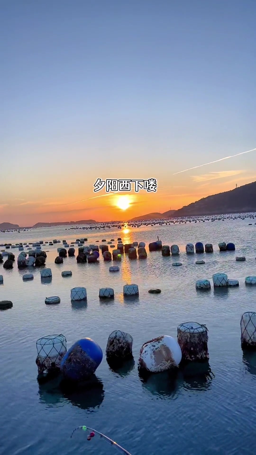 跟着老公去钓鱼,钓到了黄鱼,黄婆鸡,白果子,鳗鱼,还有带鱼,太好玩啦