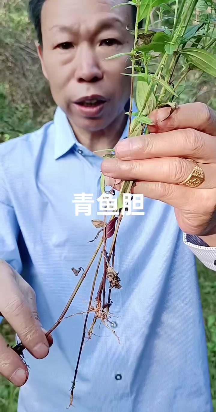 直播精彩瞬间