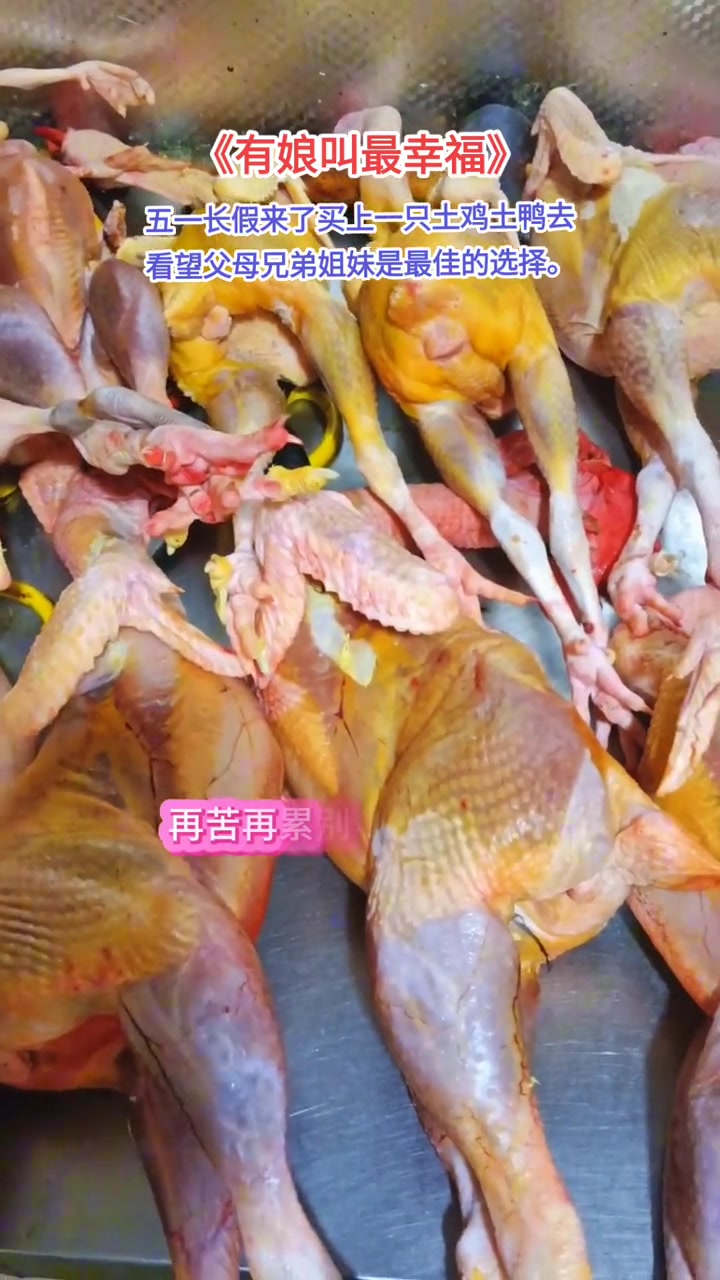 小哥家的土鸡土鸭是农村一家一户散养的土鸡 土鸭
