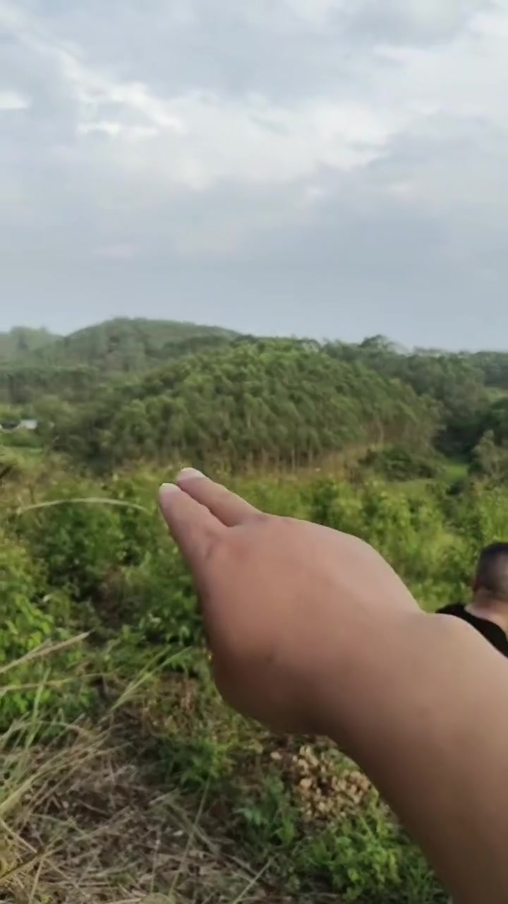 乡野田间 龚氏的天鹅抱蛋!刘二玄卜穴