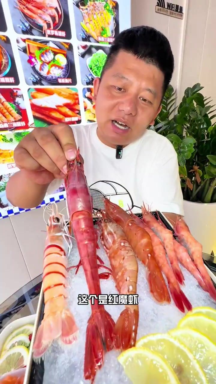 三纹鱼 生日蛋糕 深海鱼