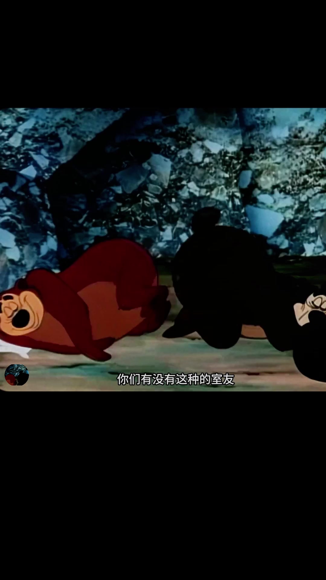 从未见过如此老六的狗熊,为了能睡觉跑到鸭子的房间