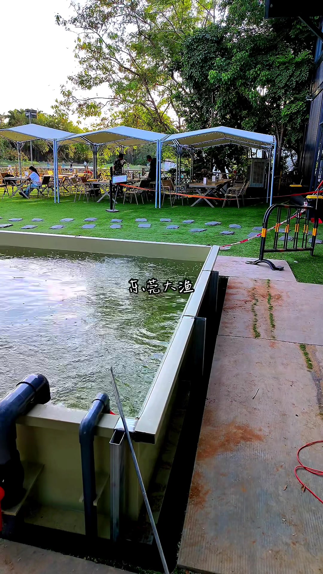 农场PP钓虾池,循环水养殖模式