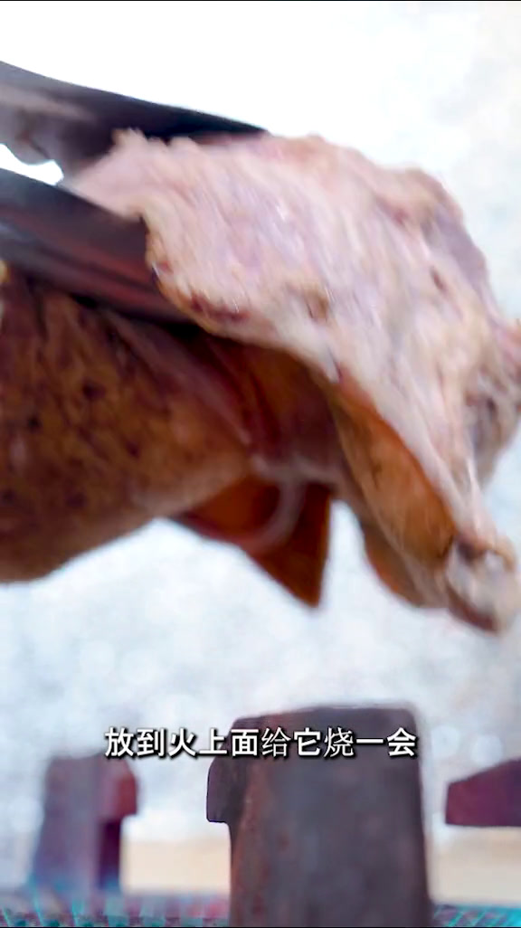 暴龙哥的定律“牛欢喜炒酸菜”,大排档需要预定才有的一道菜