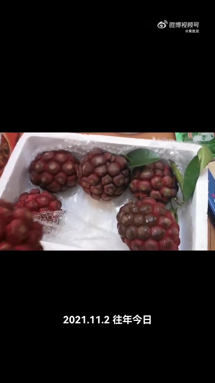 2021呢,去广西金秀瑶族自治县,看到这种水果,没有多少肉,但是没有见过。说是泡酒壮阳,好