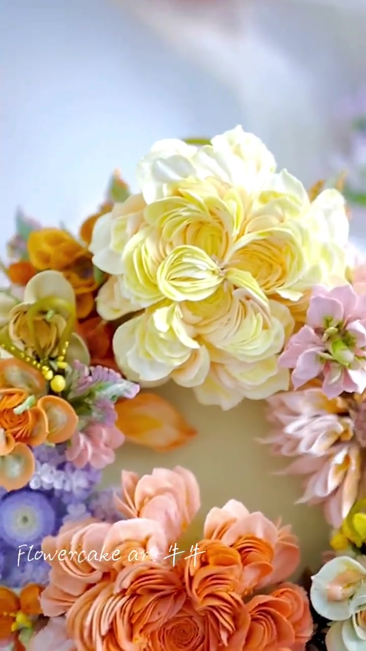 浅拍一个高级定制出单款 慕斯开心果戚风蛋糕哟