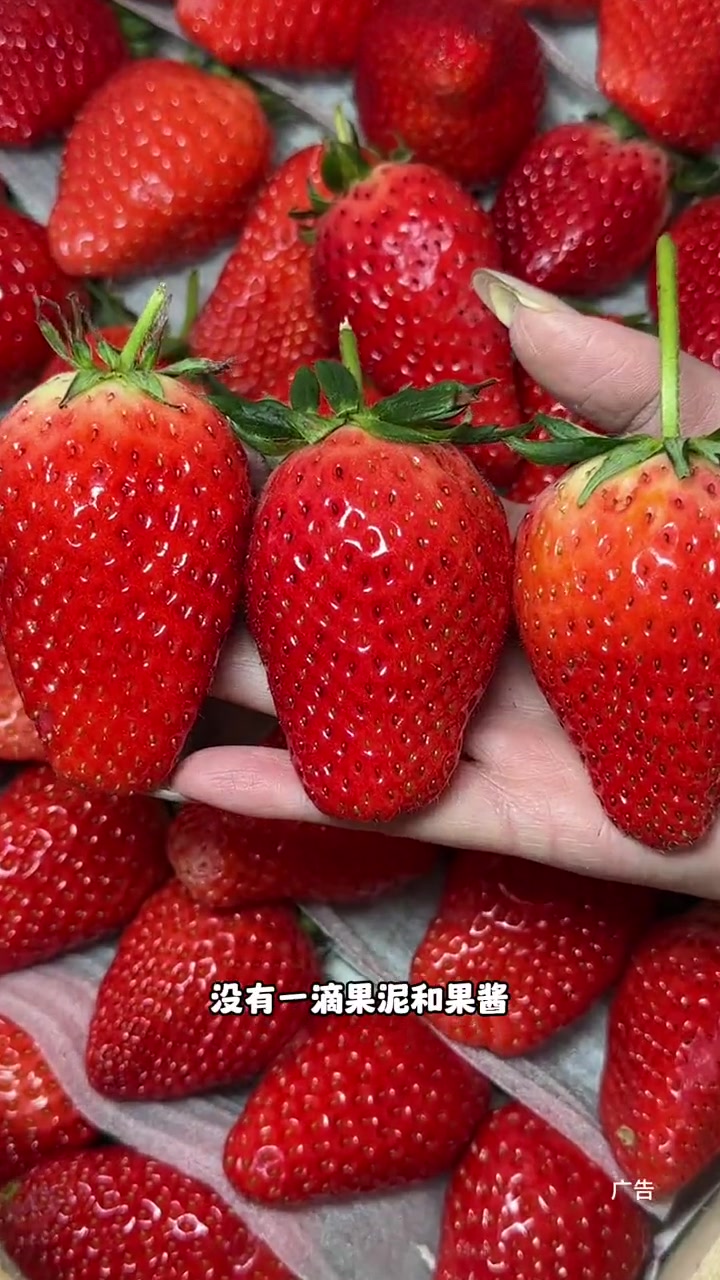 把大颗车厘子和丹东99草莓放进蛋糕里?这真的很难拒绝啊