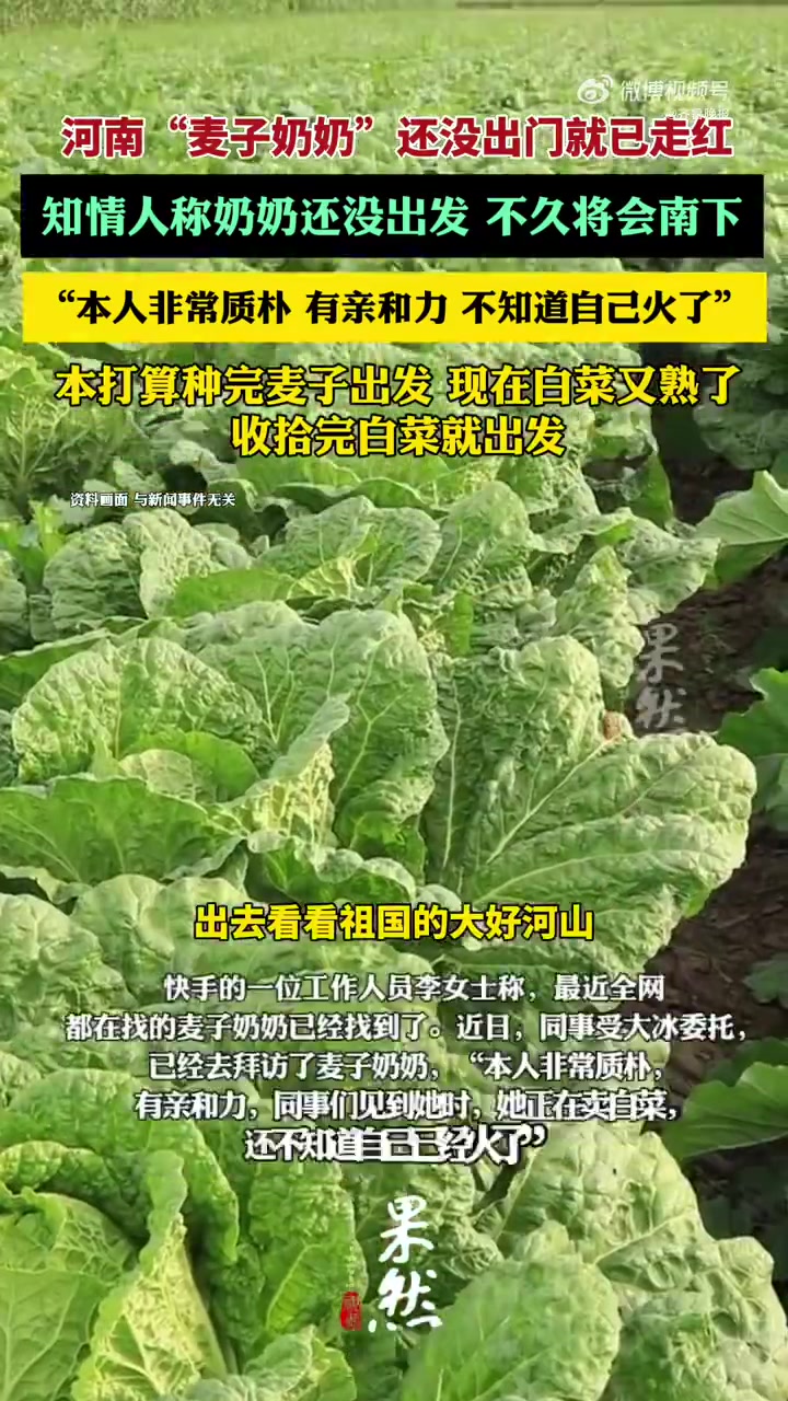 「种完麦子就往南走的麦子奶奶找到了:麦子种完白菜又熟了,等收拾完白菜就出发」“种完麦子,就