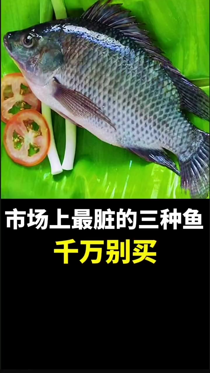 市场上最脏的三种鱼,千万别买