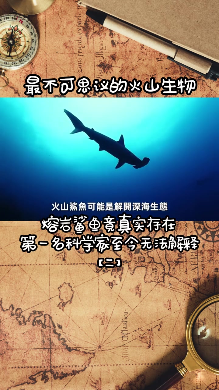 第130集|火山鲨鱼真实存在!海底世界探秘 探索未知的领域