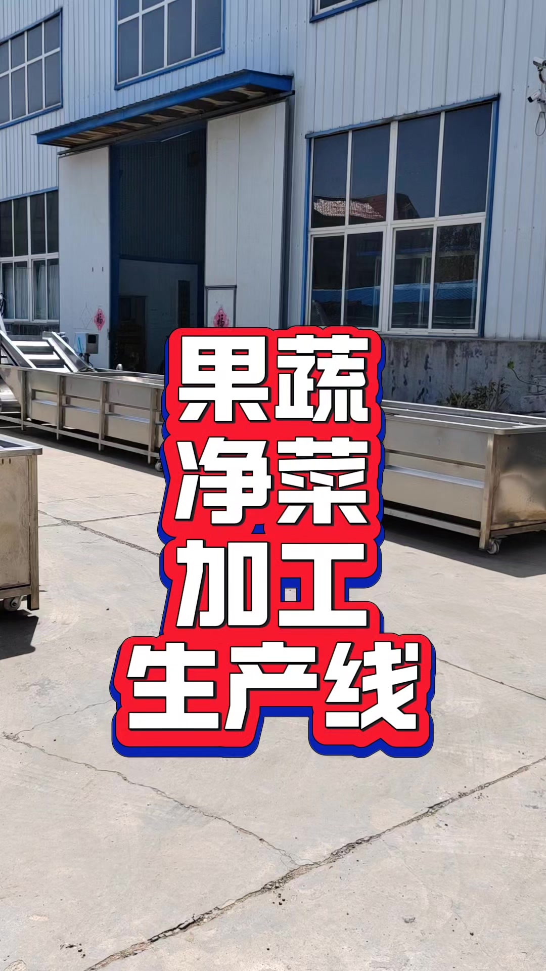 净菜加工清洗设备,生产厂家终生售后,商用水果清洗分级机,蔬菜