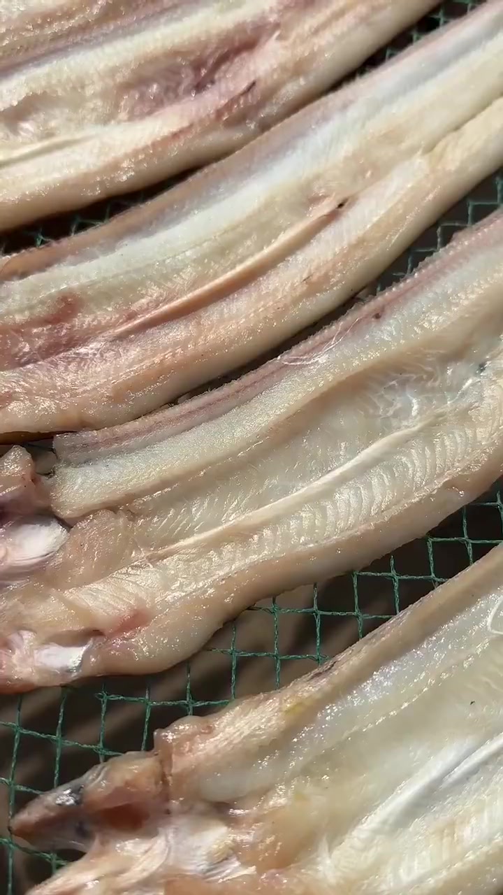 眼下,秋高气爽,正是鳗鱼鲞加工的黄金季节。这几天,在宁波北仑梅山街道盘峙码头旁的晒鱼场上,