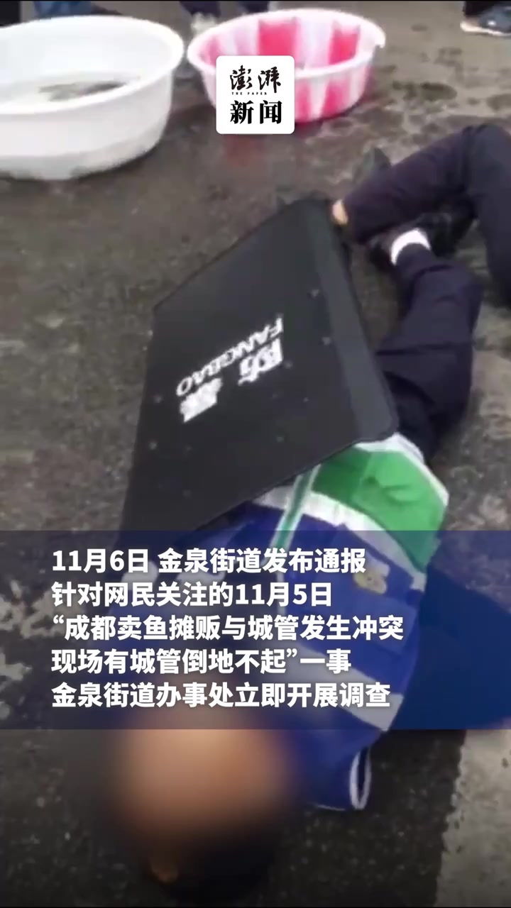 成都卖鱼摊贩与城管发生冲突,官方通报:已对摊贩批评教育