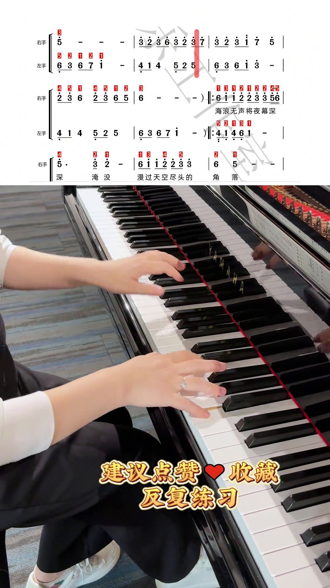 0基础学钢琴 钢琴简谱 大鱼