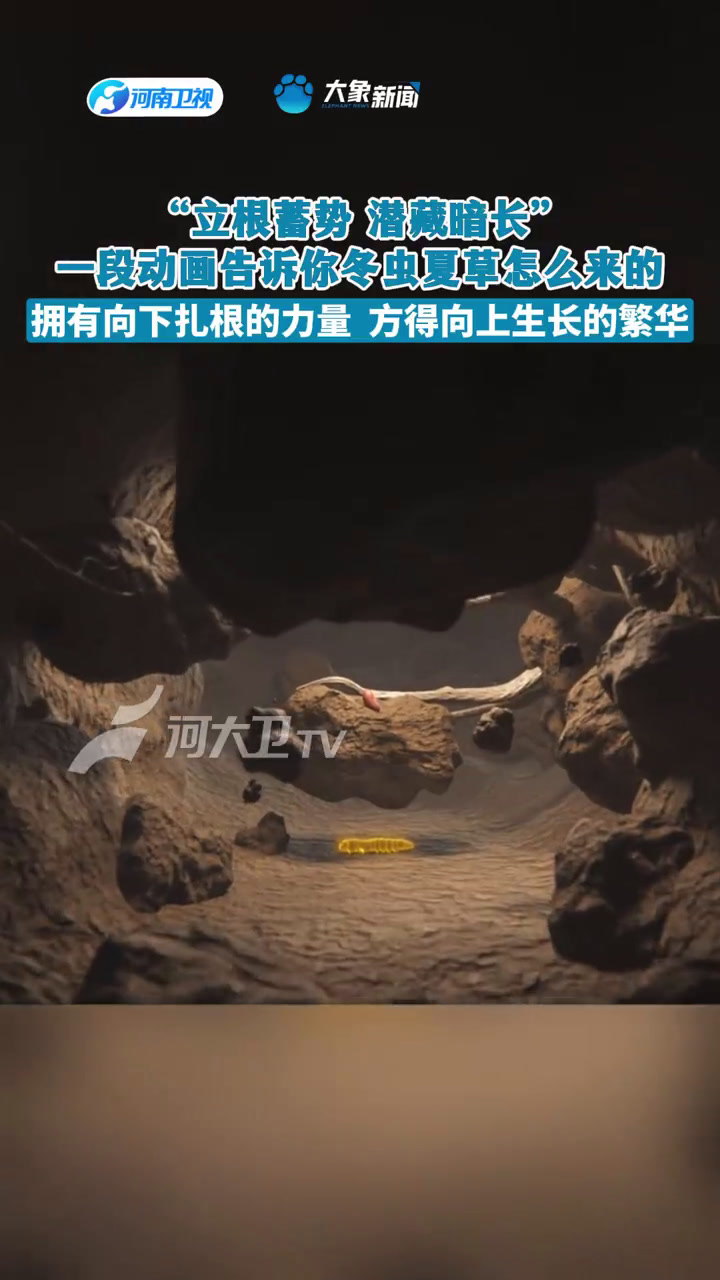 立冬是终点也是起点 河南台《中国节气——立冬》用一段动画告诉你冬虫夏草怎么来的